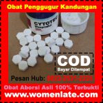 Obat Aborsi Asli Dan Obat Penggugur Kandungan Di Apotek